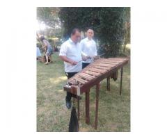 MARIMBA PARA FIESTAS DESDE $ 2,500 X 2 HORAS