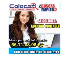 auxiliar contable