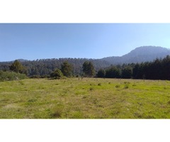 Terreno plano con bosque y río a 25 minutos de Valle de Bravo