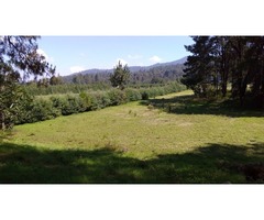 Terreno plano con bosque y río a 25 minutos de Valle de Bravo