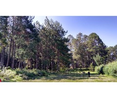 Terreno plano con bosque y río a 25 minutos de Valle de Bravo