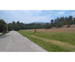 Lotes de 2000 m2 en Rancho los Pinares a orilla de carretera