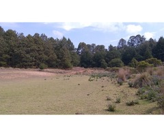 Lotes de 2000 m2 en Rancho los Pinares a orilla de carretera