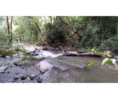 Terreno de 16.6 ha con bosque y río cerca de Donato Guerra