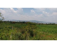 vendo terreno en el lago de cajititlan