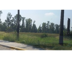 VENTA DE TERRENO A PIE CARR. PANAMERICANA DE 11-40 HAS.