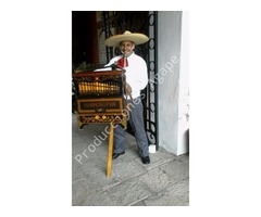 ORGANILLERO PARA FIESTAS Y EVENTOS