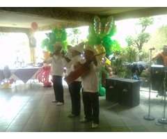 Trio Huasteco Para Fiestas Y Eventos