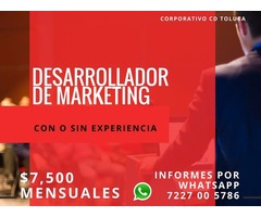 Desarrollador de Marketing