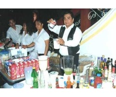 SERVICIO DE COCKTELERIA PARA SUS FIESTAS