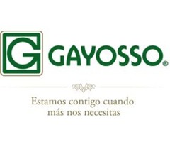 Representante De Ventas Gayosso - Excelnetes Ingresos. Capacitacion Pagada