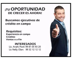 BUSCAMOS ASESORES FINANCIEROS