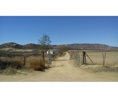 VENDO 1 HECTÁREA EN VALLE DE GUADALUPE (ruta del vino)