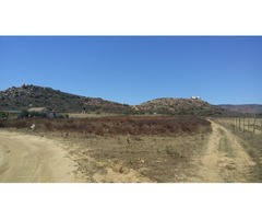 VENDO 1 HECTÁREA EN VALLE DE GUADALUPE (ruta del vino)