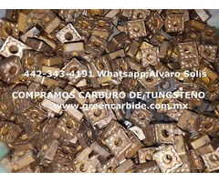 COMPRA VENTA SCRAP CARBURO DE TUNGSTENO EN CUAUHTEMOC CHIHUAHUA