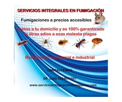 Servicios de fumigacion