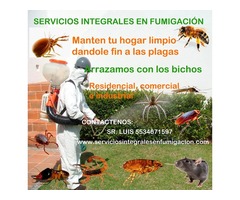 Servicios de fumigacion