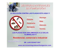 Servicios de fumigacion