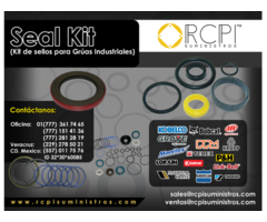 SEAL KIT PARA GRÚAS INDUSTRIALES