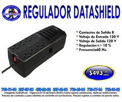 REGULADOR DATASHIELD RAD-1200