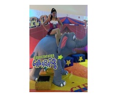 atracciones infantiles circo y diversion