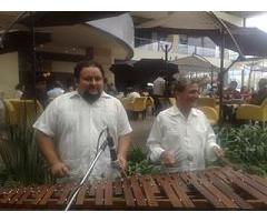 LA MEJOR MARIMBA PARA FIESTAS DESDE $1,000 LA HORA