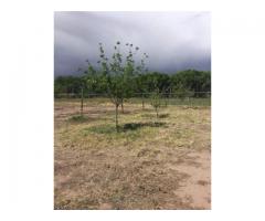 Terreno Campestre en Venta