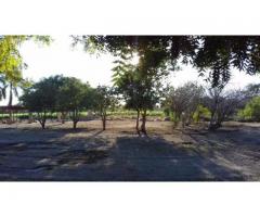 Se vende terreno campestre con hermosa vista a 16 km de Culiacan