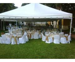 CARPA ELEGANTE PARA BODAS