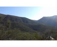 VENDO EN ENSENADA RANCHO DE 35 HECTAREAS KM 7 CARRET ENSENADA OJOS NEGROS