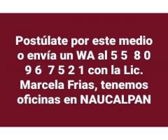 REPRESENTANTE DE PREVISIÓN experto en VENTAS-NAUCALPAN