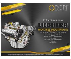 Refacciones para motores industriales Liebherr