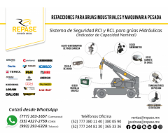 SISTEMAS DE SEGURIDAD RCI Y RCL