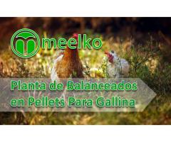 Planta de Balanceados en Pellets Para Gallina meelko