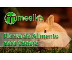 Planta meelko  para procesar Alimento de Conejo