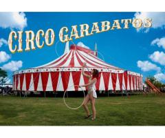 RENTA DE CARPAS DE CIRCO