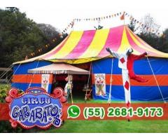 RENTA DE CARPAS DE CIRCO