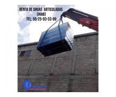 Grúa Hiab en renta para maniobras