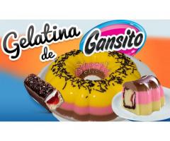 GELATINAS DE GANSITO, BUBULUBU, CHOCORROLES (GOURMET