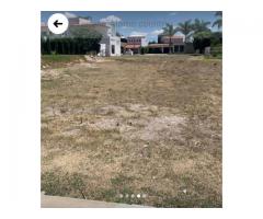 VENTA DE TERRENO EN ÁLAMO COUNTRY CLUB