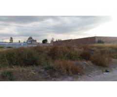 TERRENO COMERCIAL 4,000 M2 CAMINO A SAN JOSE DE GTO.  ($1000 x M2)