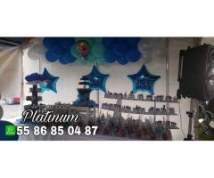 Show de Baby Shower, Animadora Profesional