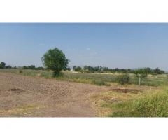 TERRENO AGRÍCOLA 5-00 EN SAN CAYETANO (CELAYA) ($110 x M2)