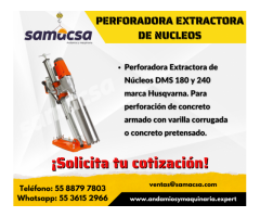 Extractora nucleadora DMS 240