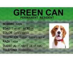 Placas para mascotas