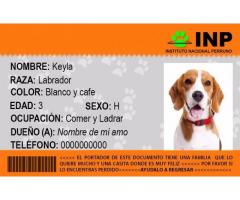 Placas para mascotas