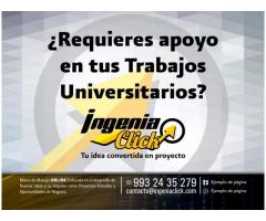 APOYO UNIVERSITARIO  (TESIS, PROTOCOLOS, PRESENTACIONES EJECUTIVAS)