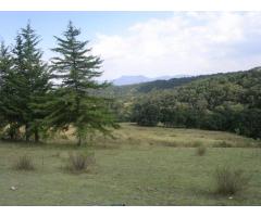 HERMOSO TERRENO EN VILLA DEL CARBON AUN EN BREÑA LEJOS DE LA CONTAMINACION