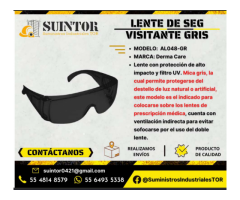 Lente de seguridad Visit Gris