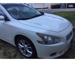 nissan maxima exclusive